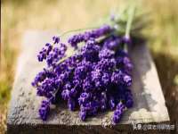 海口尚云悦网络科技有限公司