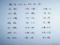 海口尚云悦网络科技有限公司