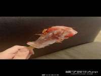 海口尚云悦网络科技有限公司